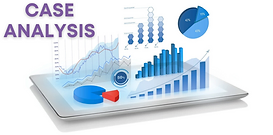 Case analysis guidance